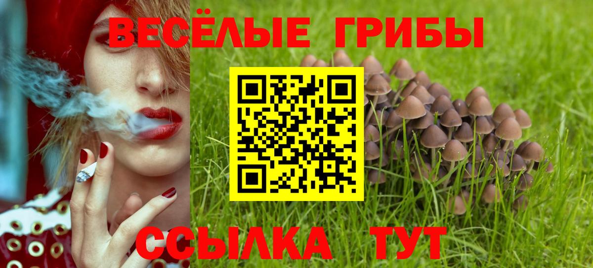 Галлюциногенные грибы Psilocybe  Вход с VPN  Северск 